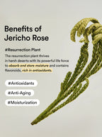 ABIB Rice Probiotics Overnight Mask Barrier jelly 80ml