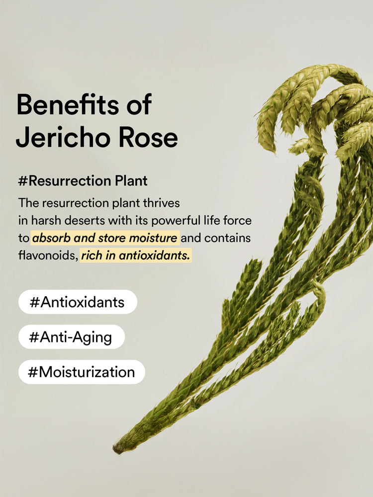 ABIB Rice Probiotics Overnight Mask Barrier jelly 80ml