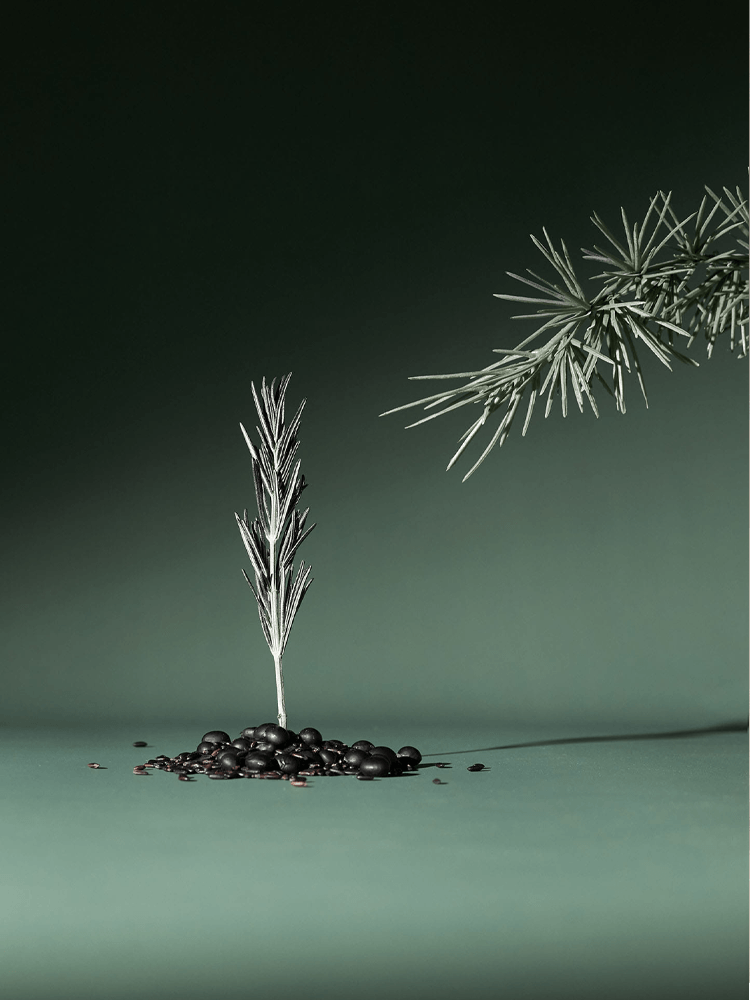 AROMATICA Rosemary Active V Anti-Hair Loss Tonic displayed with rosemary sprigs and black seeds on a green background.