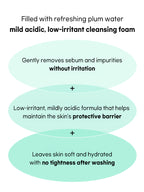 Beauty of Joseon Green Plum Refreshing Cleanser 100ml