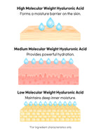 Beauty of Joseon Revive Serum : Ginseng + Snail Mucin 30ml