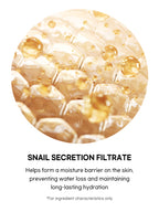 Beauty of Joseon Revive Serum : Ginseng + Snail Mucin 30ml