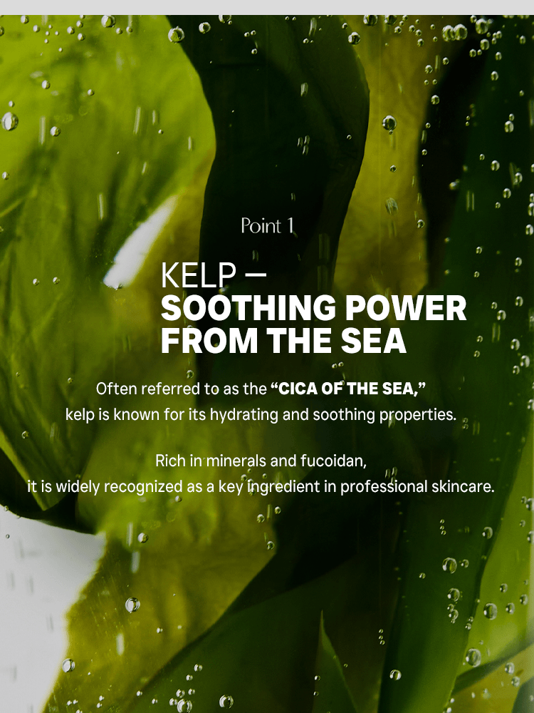 BIODANCE Refreshing Sea Kelp Real Deep Mask 34g #1pc