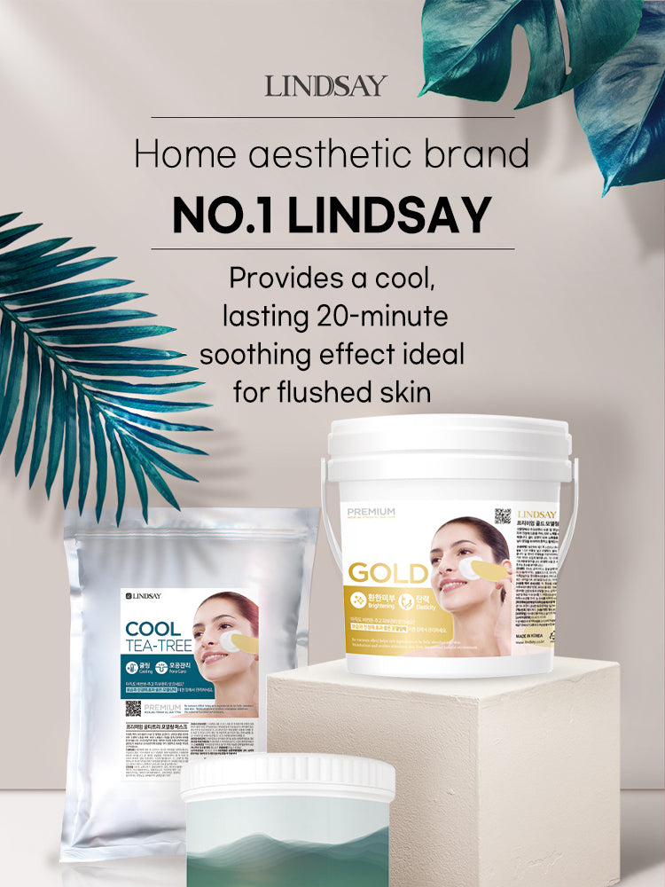 LINDSAY Modeling Mask Cup Pack 28g