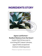 PETITFEE Agave Cooling Hydrogel Eye Mask 84g (60pieces,30pairs)