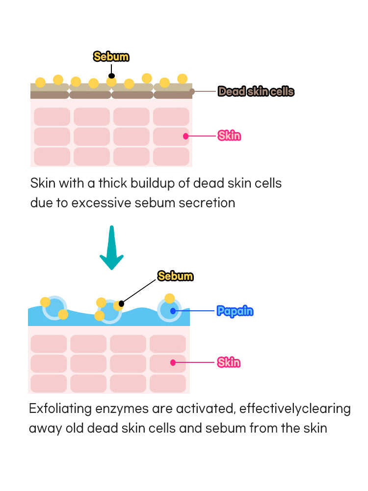 PETITFEE β-Glucan Enzyme Powder Wash 80g