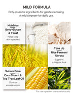 PETITFEE β-Glucan Enzyme Powder Wash 80g