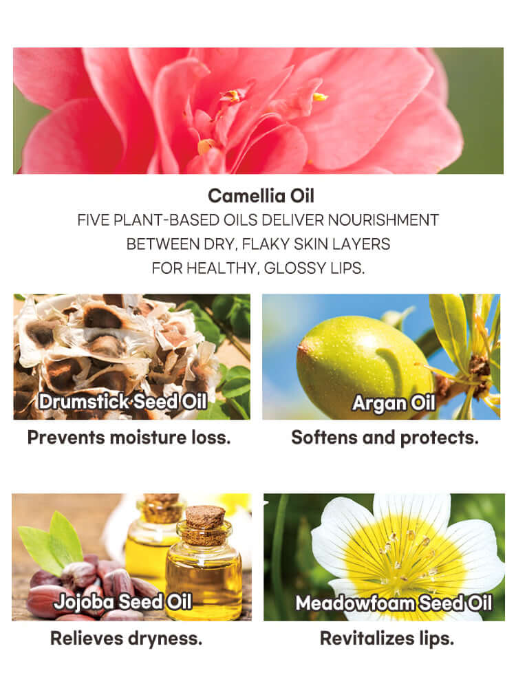 PETITFEE Oil Blossom Lip Mask 15g Camelia Seed Oil with ingredients: Camellia Oil, Drumstick-Seed Oil, Argan Oil, Jojoba Seed Oil, Meadowfoam Seed Oil.