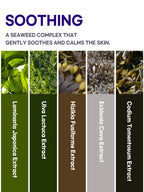 PETITFEE Agave Cooling Hydrogel Face Mask 32g #5pcs