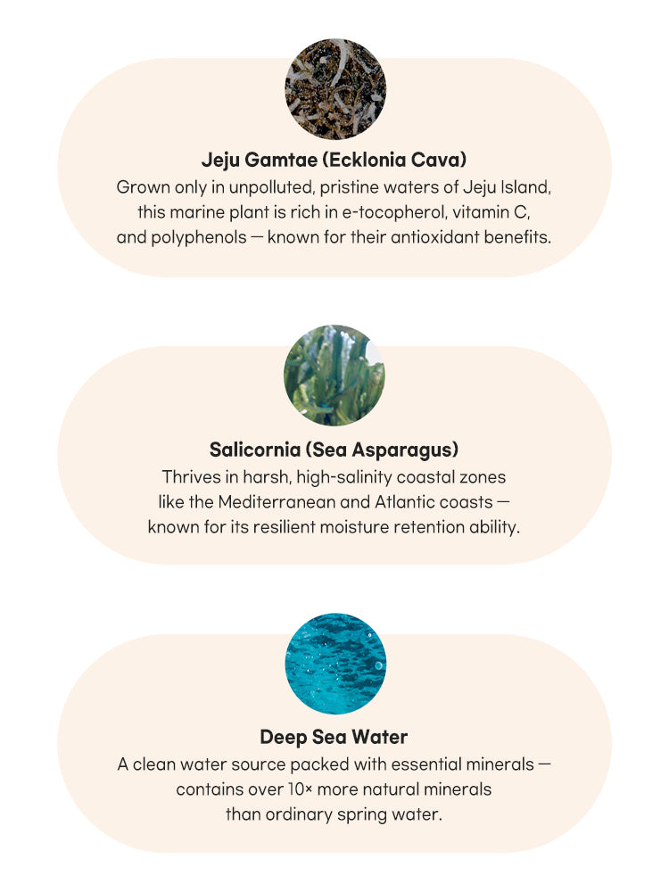 rom&nd Zero Sun Clean 50ml SPF50+/PA++++