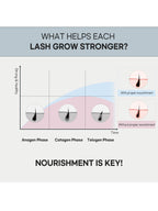 rom&nd  Han All Lash Serum 8.0ml