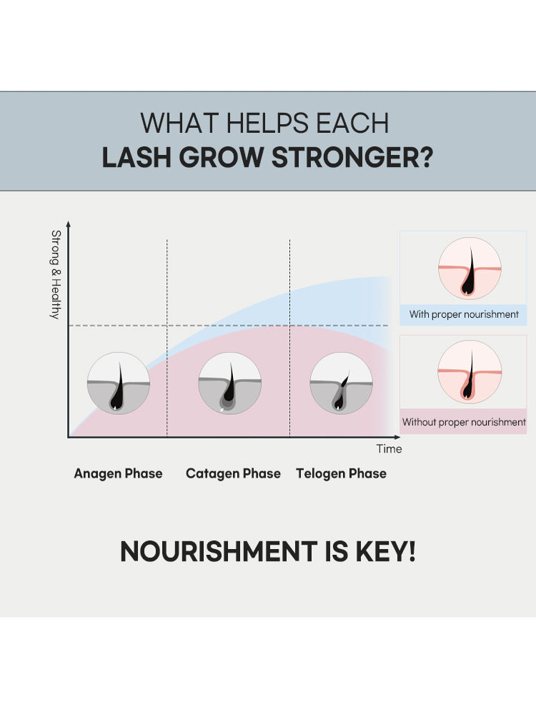 rom&nd  Han All Lash Serum 8.0ml