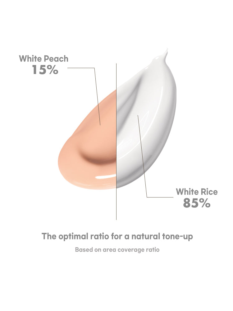 rom&nd Back Me Tone Up Sun Cushion 11g SPF50+/PA++++