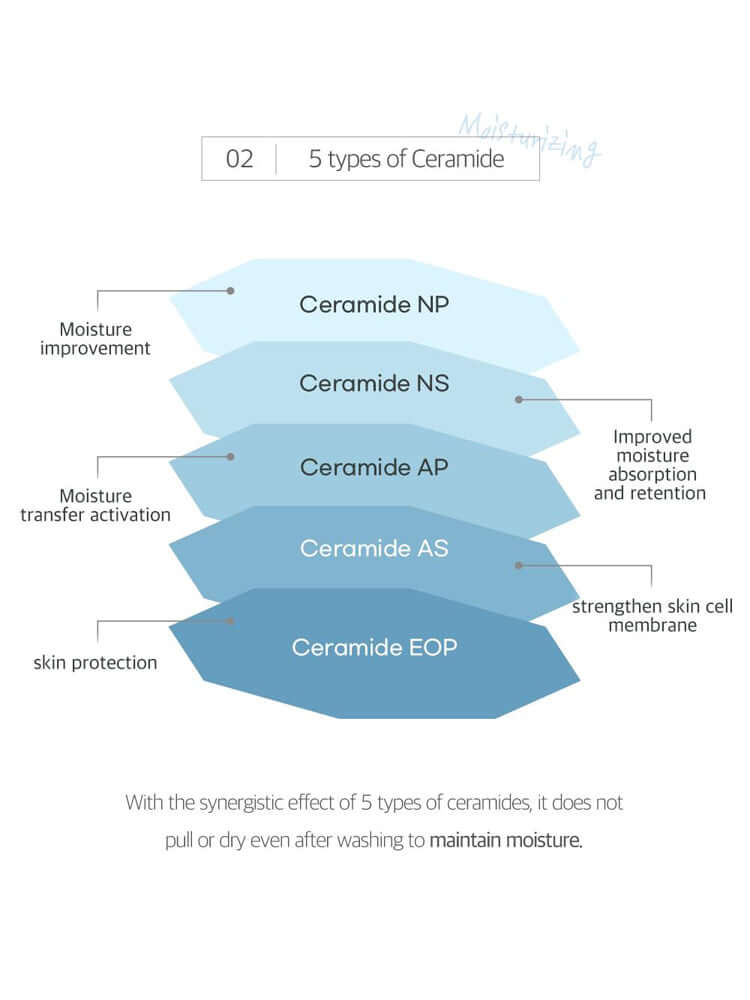 Illustration showing the 5 types of Ceramide: NP, NS, AP, AS, EOP with moisture benefits and skin protection details.