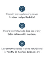 ROUND LAB 1025 Dokdo Cleanser 150ml