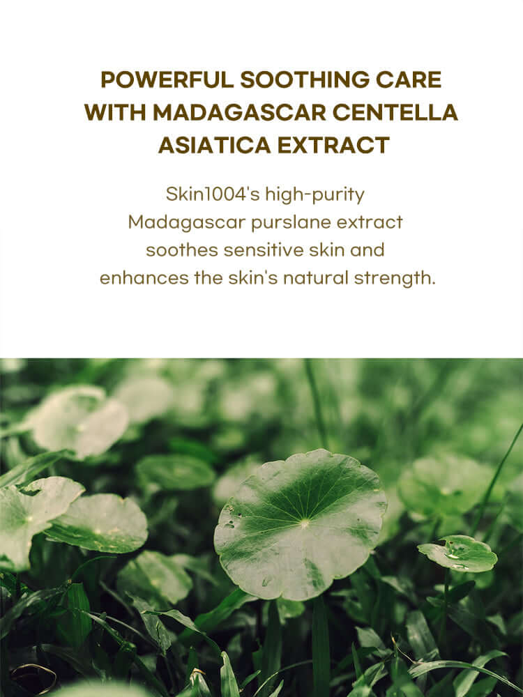 SKIN1004 Madagascar Centella Ampoule 55ml