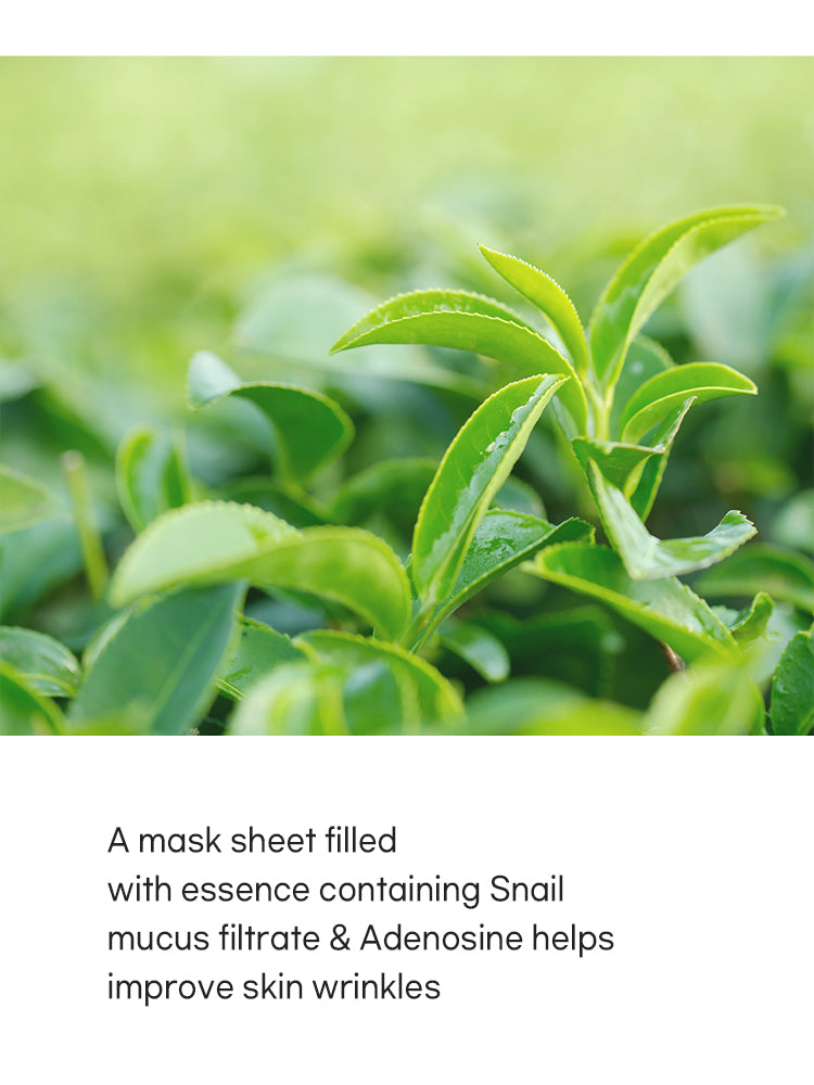 TENZERO Greentea Sheet Mask 25ml