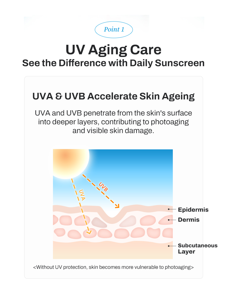 TOCOBO Bio Watery Sun Cream Infographic illustrating UV aging care, showing UVA and UVB effects on skin layers with key points.