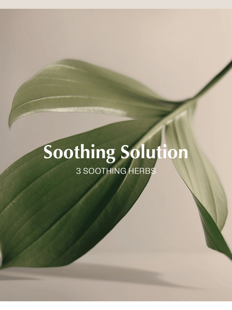 manyo Bifida Biome Aqua Barrier Cream Soothing Solution featuring leaves representing 3 soothing herbs for calming skincare.
